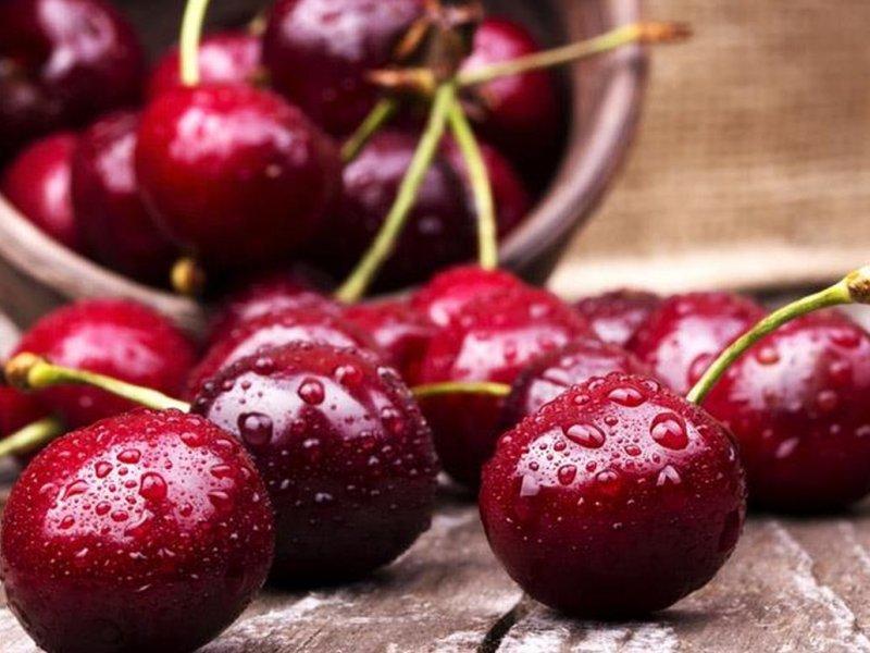Вишня купить саженцы из питомника в Смоленске
